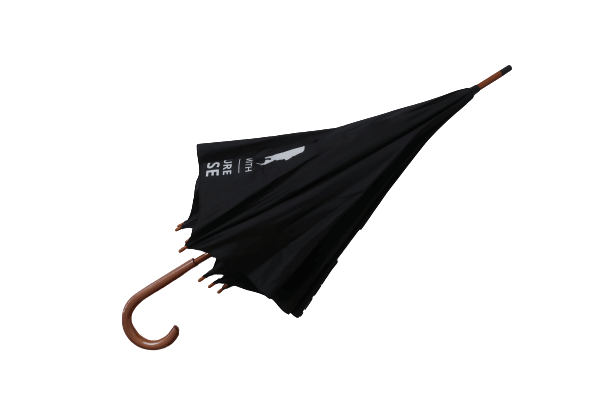 Umbrella No Background Low Res (3)